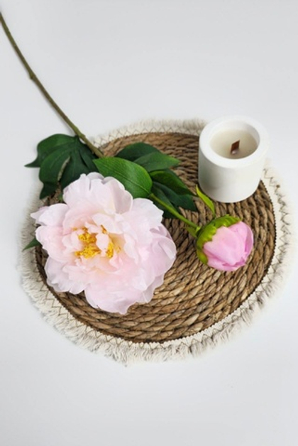 Пион / Арт. 2221