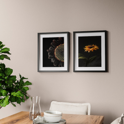 IKEA RÖDALM  (ИКЕА РÖДАЛМ)  -  Рамка для плаката, подсолнухи, 40x50 см