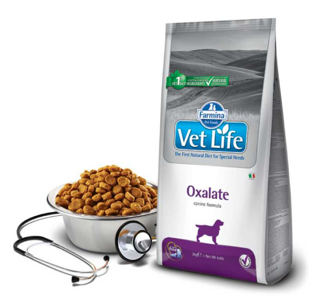 Сухой корм FARMINA Vet Life Oxalate для взрослых собак всех пород при МКБ - 2 кг