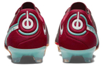 Кроссовки Nike Legend 9 Elite Fg