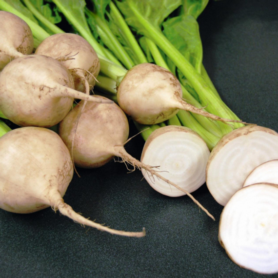 Аваланч семена свеклы (Bejo / ALEXAGRO) культура – фото 2