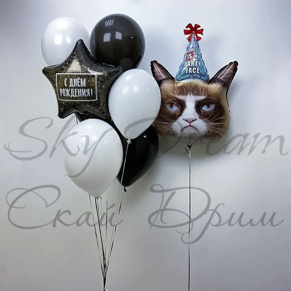 Композиция из шаров Угрюмый Кот В Колпаке