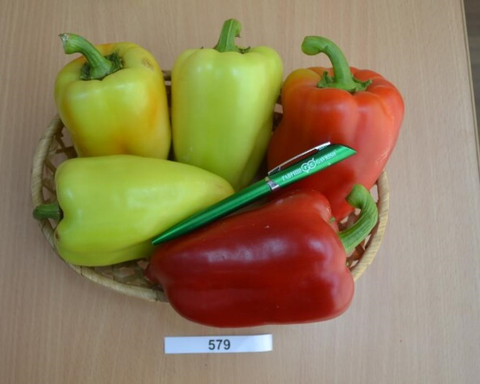 Перец Кондор