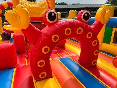 Коммерческий надувной батут «Тропикана макси 2», 15*8*6 м