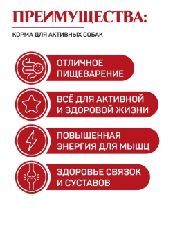 Classic корм для активных собак, говядина 2,5 кг