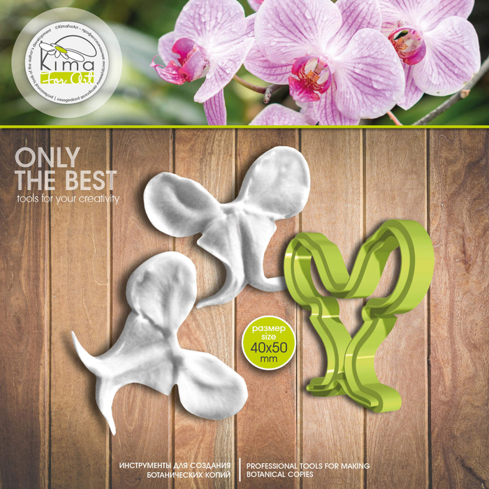 Фаленопсис орхидея. Губа (бабочка)