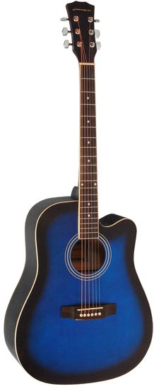 Акустическая гитара Elitaro E4120 BLS