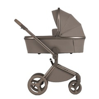 Anex Детская коляска Flo 2 в 1 Yuki