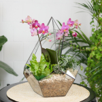 Готовый флорариум с лиловой орхидеей Капля L