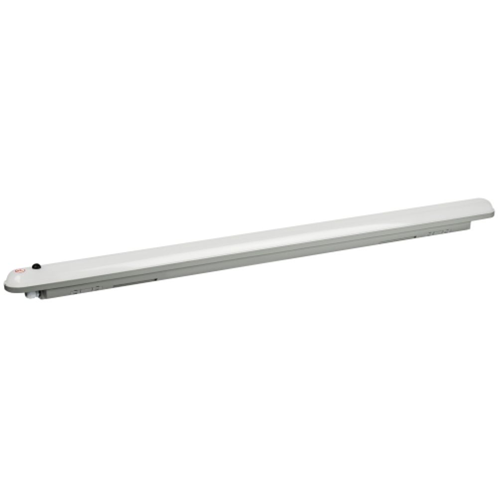 Аварийный линейный светодиодный светильник ЭРА SPP-201-0-65K-E36 36Вт 6500K 3780Лм IP65 1200мм с бап 1 час матовый