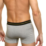 Серые хлопковые трусы-боксеры (Размер: L) (Цвет: серый)