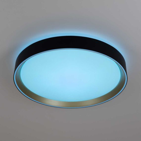 Потолочный светодиодный светильник Citilux Boss CL751351G