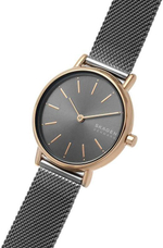 Женские наручные часы Skagen SKW2996