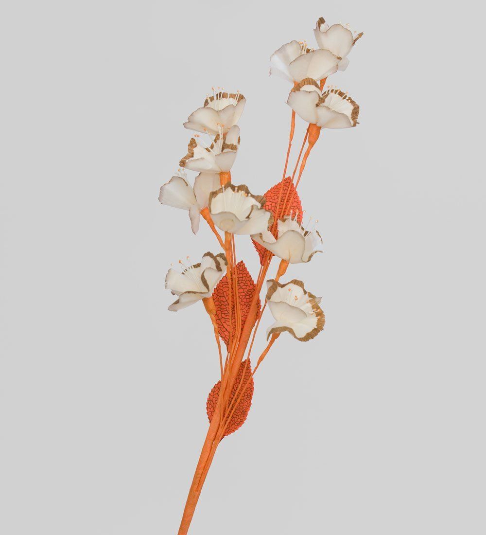 TR 381 Любимая