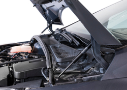 Упоры капота для Ford Focus III 2011-2019, 2 шт., UFDFOC021
