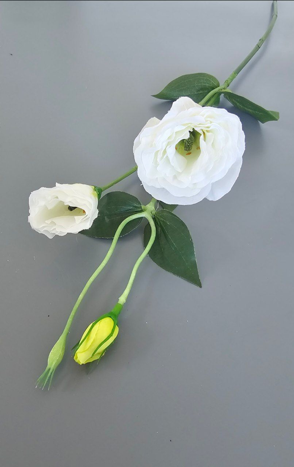 Эустома / Арт 2329