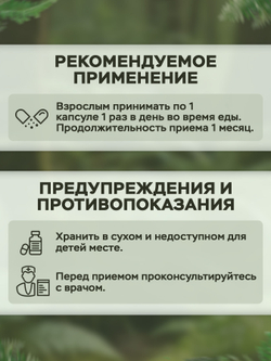 Alviko-lab Omega-3 75% (EPA 500 / DHA 250), 300 Softgels — Омега-3