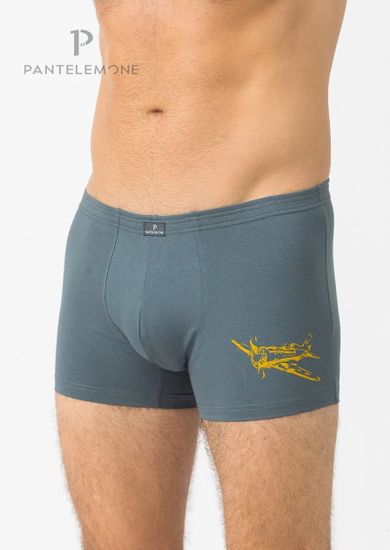 Трусы мужские боксеры Pantelemone PMH-1351, серо-зеленый
