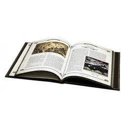 История спецслужб Российской империи. Подарочная книга в кожаном переплете