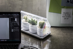 Лоток для выращивания растений micro green house, прозрачный
