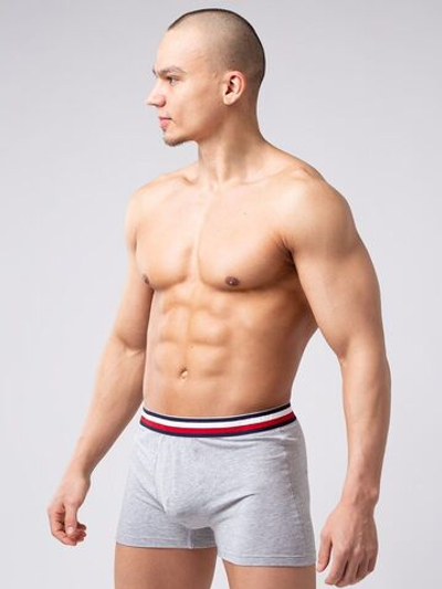 Мужские боксеры из мягкого хлопкового трикотажа с резинкой в полоску (Размер: XXL) (Цвет: серый)