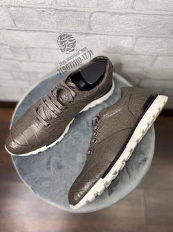 Кроссовки Stefano Ricci из кожи крокодила