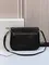 Сумка CELINE SOFT TRIOMPHE BESACE IN SUPPLE SHINY LAMBSKIN