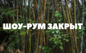 До 15.07.25 Шоу-рум закрыт!
