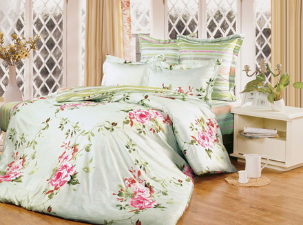 Постельное белье СайлиД B-111 сатин