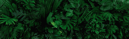 Дизайнерские №396 Фотообои и Фрески