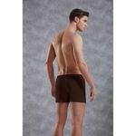 Мужские трусы боксеры хлопковые коричневые Doreanse 1511