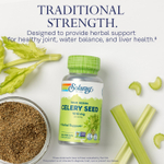 Solaray, True Herbs, семена сельдерея, 100 вегетарианских капсул (505 мг на капсулу)