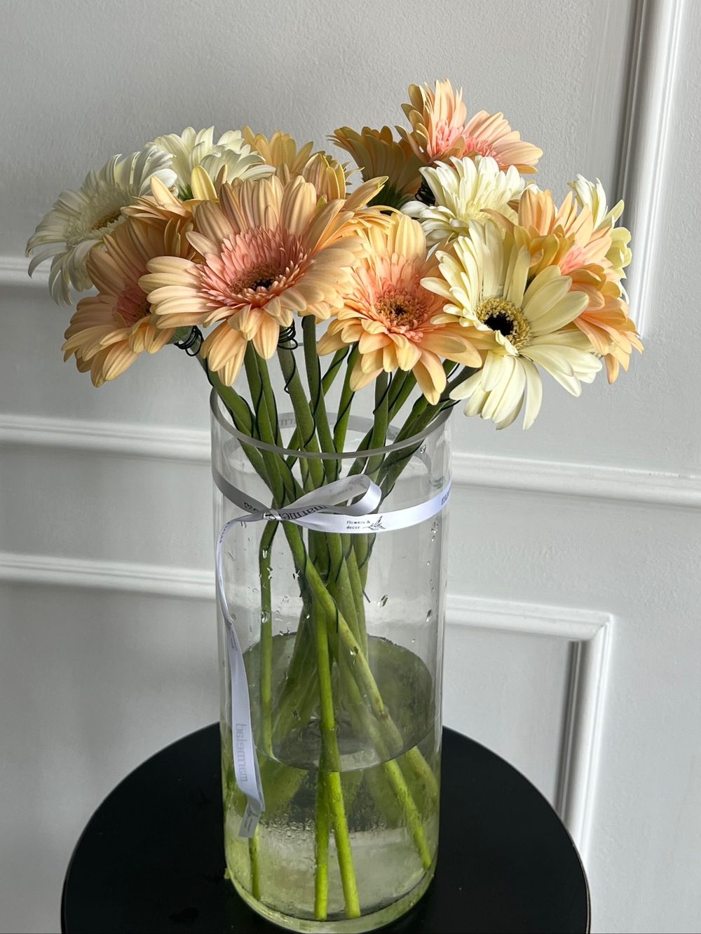 Гербера в кремовом оттенке от 15 шт