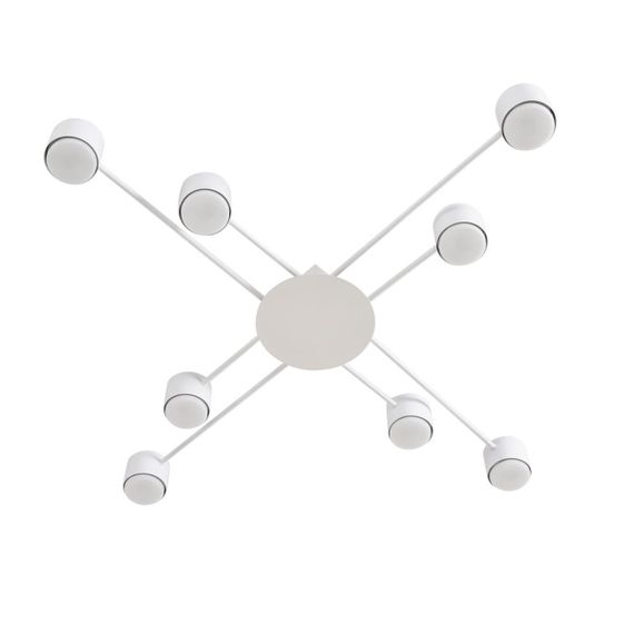 Светильник потолочный Lumion BENUA 8305/8C