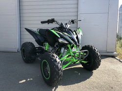 Квадроцикл PROMAX RAPTOR 300 NEW