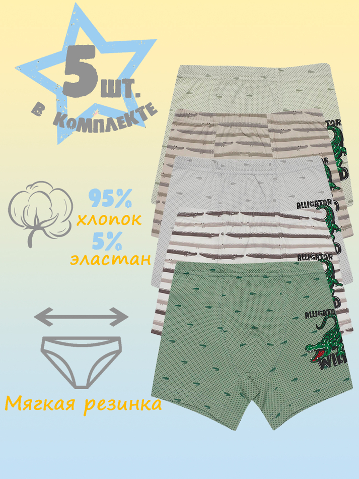 Боксеры для мальчика (5 штук в упаковке)