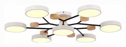 Потолочная люстра EVOLUCE Faema SLE6006-502-07