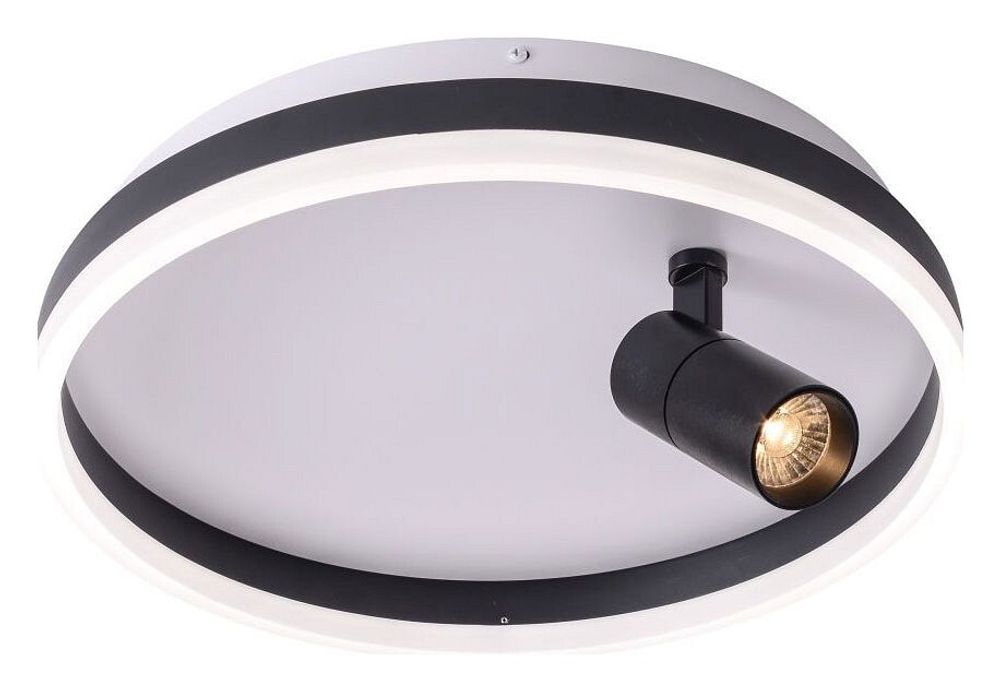 Накладной светильник Zortes Raizy ZRS.1888.03