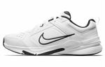 Кроссовки Nike Defyallday