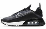 Кроссовки Nike Air Max 2090 (Женская размерная сетка)