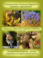 Живучка Френдс Фенси Финч Пёрышки чудесного Зяблика
