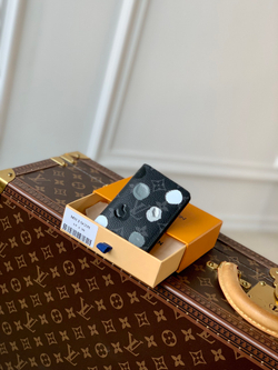 Louis Vuitton Pocket Organizer