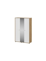 Шкаф для одежды распашной Дуб Золотой 140х56х220