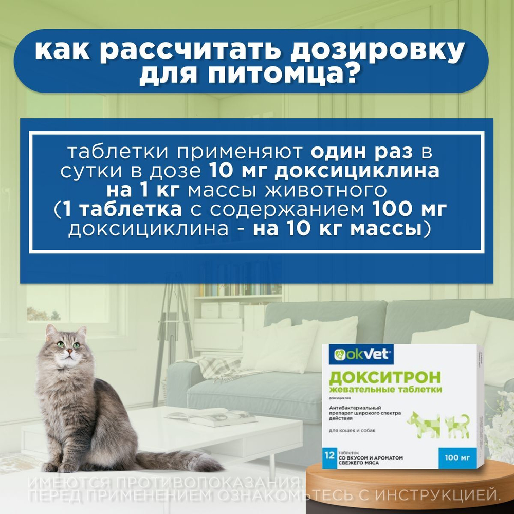 Антибиотик для кошек и собак противомикробные жевательные таблетки Okvet Докситрон 100мг, 12таб