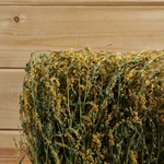 Донник, букет_2.jpg