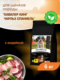Quattro корм для щенков породы Кавалер кинг чарльз спаниель, с индейкой, 6 кг, QUATTRO