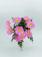 Букет Маргариток розовых