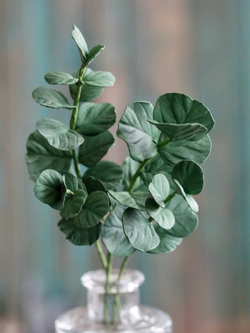 Набор вайнеров для лепки листьев эвкалипта Coprussia