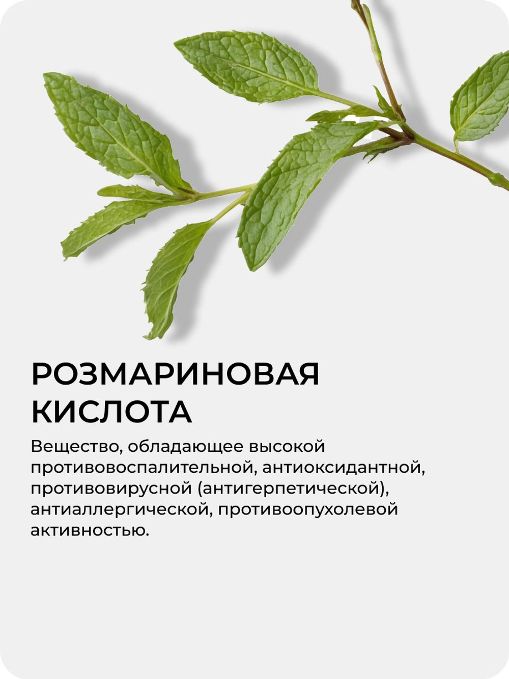 Розмариновая кислота 60 капсул / Натуральный дегликант и антиоксидант