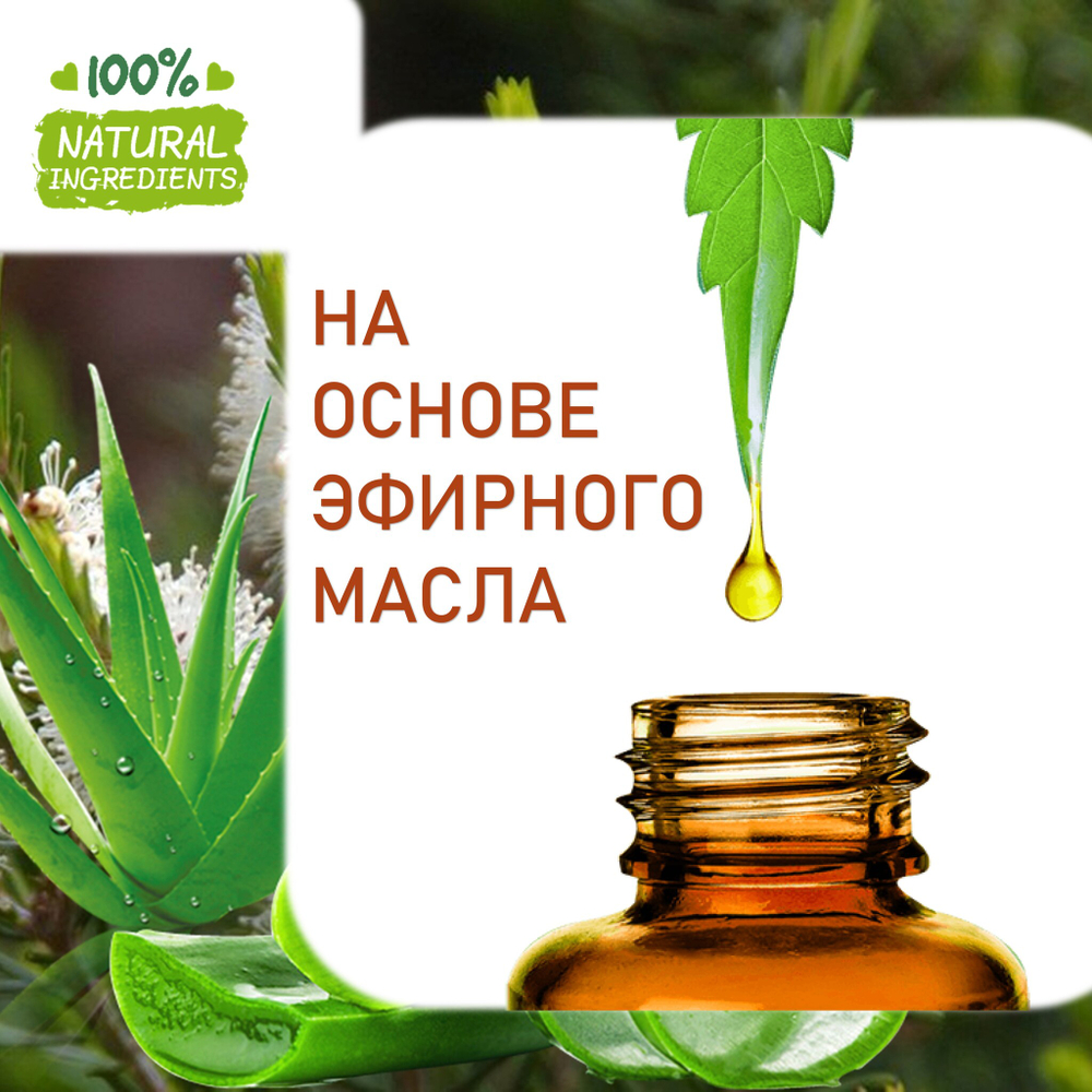 Алоэ вера и чайное дерево, отдушка для свечей и мыла